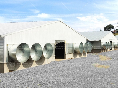 Chicken house design