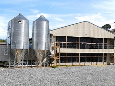 steel structure chicken house
